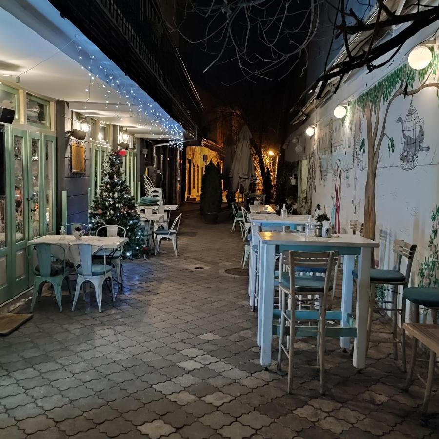 Centar Novi Sad-apartman No 3 *