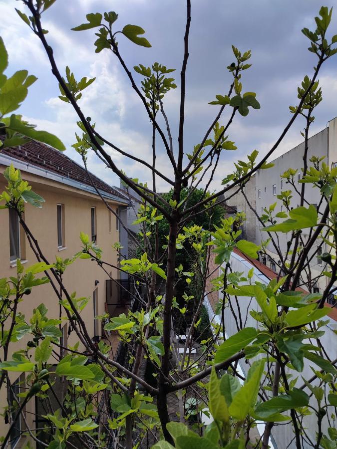 公寓 Centar Novi Sad-apartman No 3 *