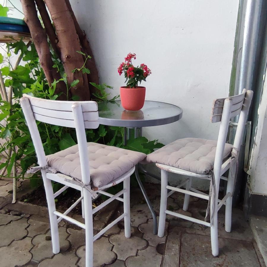 公寓 Centar Novi Sad-apartman No 3 *
