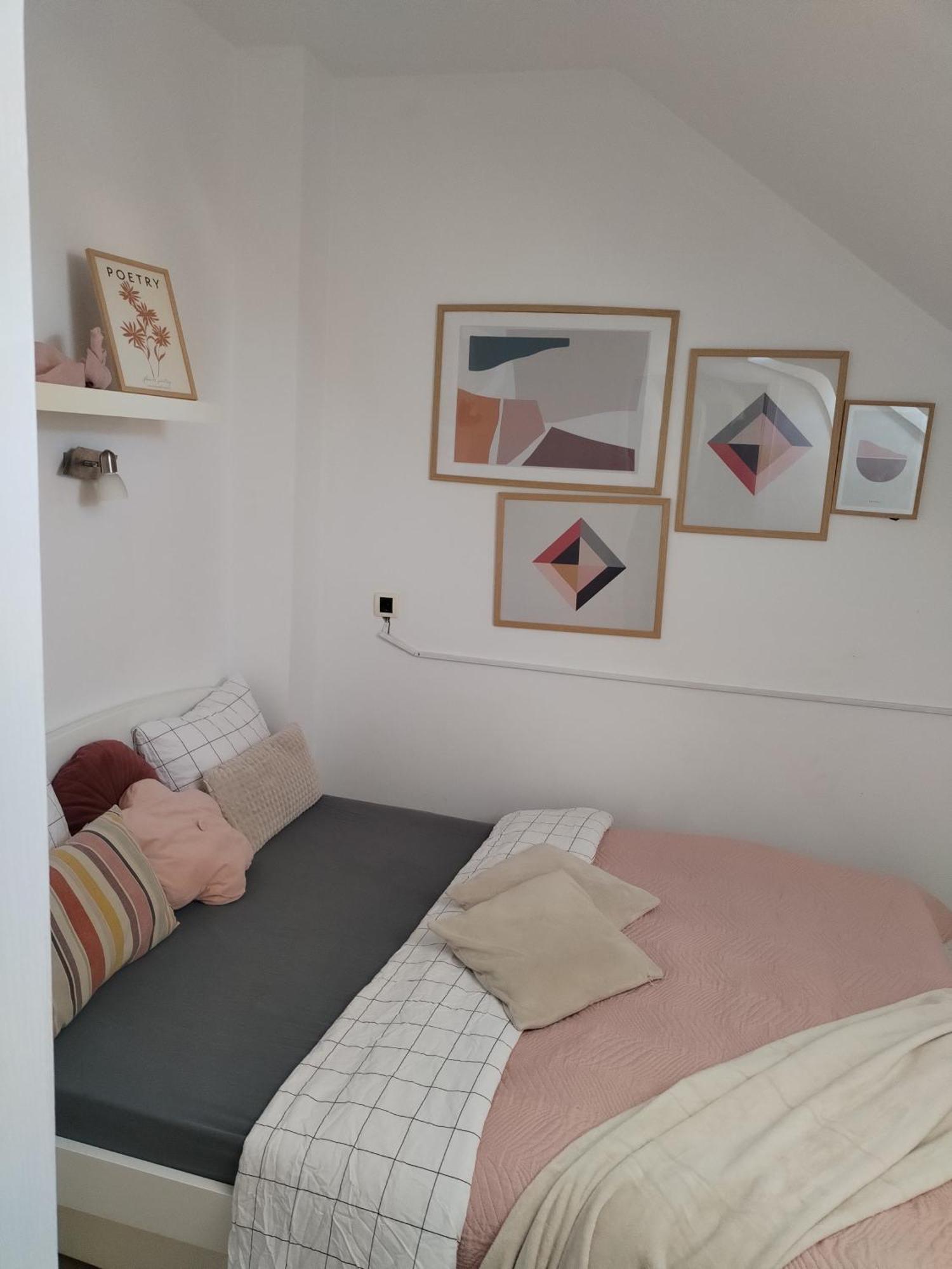 Centar Novi Sad-apartman No 3 * 诺威萨