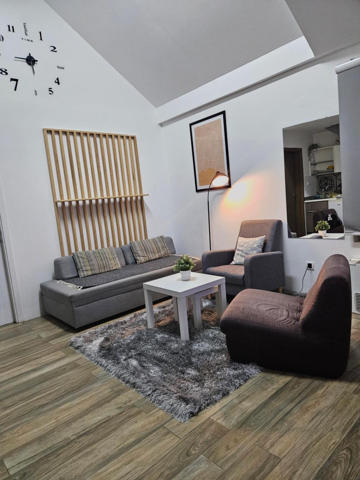 公寓 Centar Novi Sad-apartman No 3 诺威萨